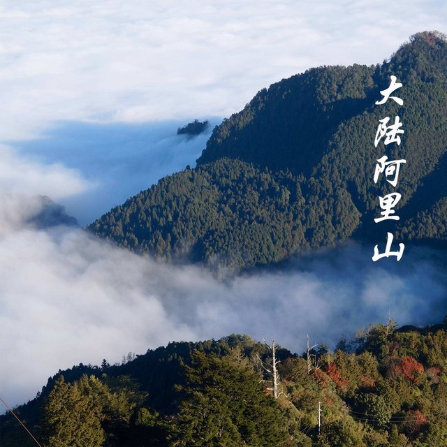 大陆阿里山