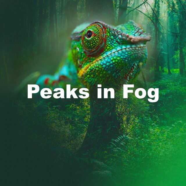 Peaks in Fog