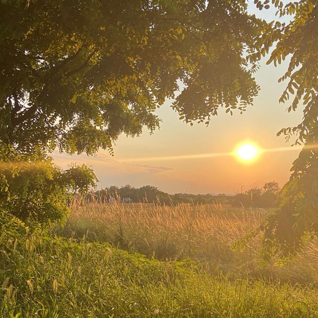 Sunshine!