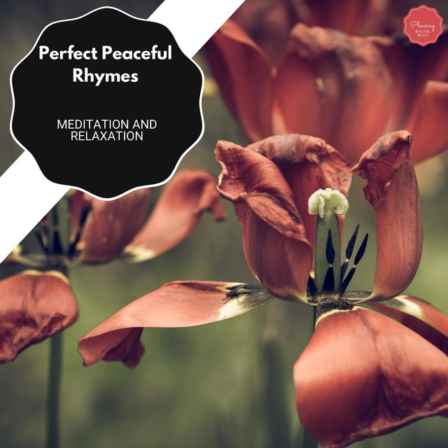 Perfect Peaceful Rhymes - Meditation And Relaxation