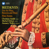 Flute Sonata in B-Flat Major, Anh. 4: IV. Tema con variazioni. Allegretto