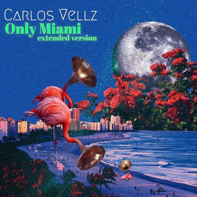 Cover art for album  by Carlos Vellz