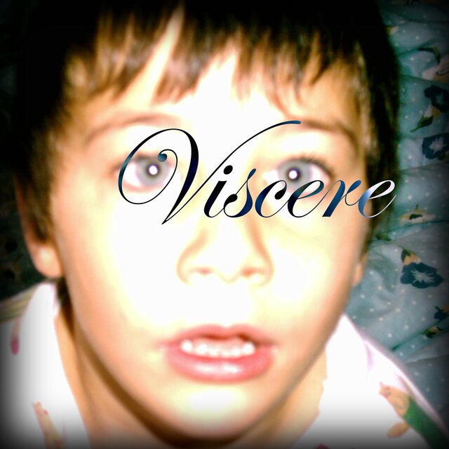 Viscere