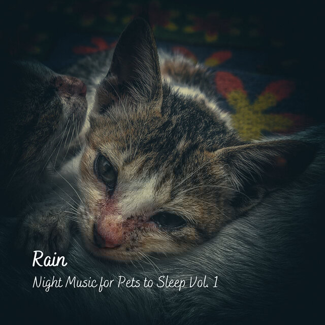 Rain: Night Music for Pets to Sleep Vol. 1