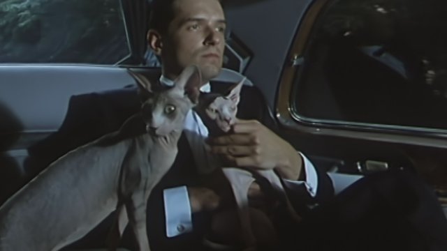 Kann es Liebe sein (Aus dem Film 