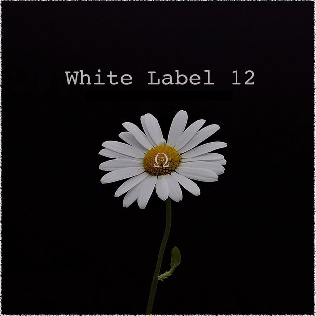 White Label 12
