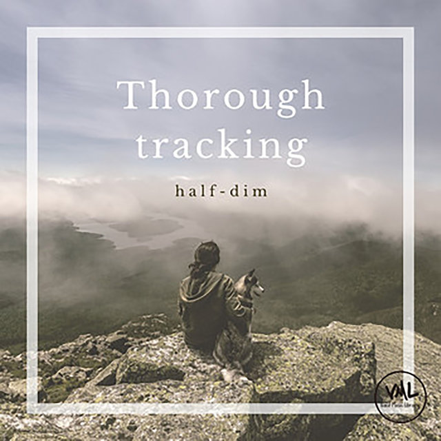 Thorough tracking