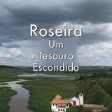 Roseira um Tesouro Escondido