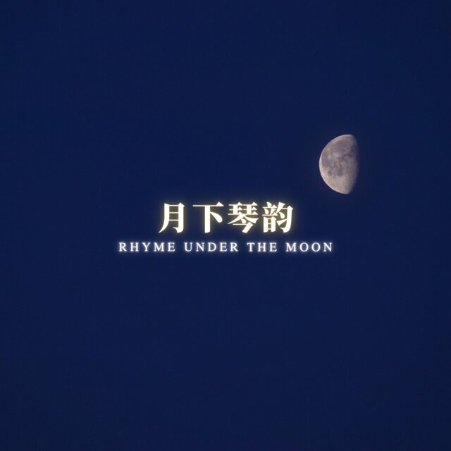 月下琴韵