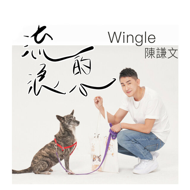流浪的心