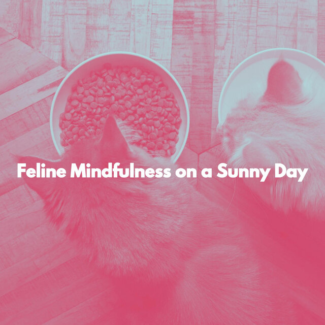 Feline Mindfulness on a Sunny Day