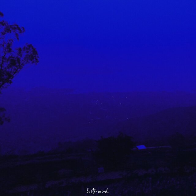 the wind's noising