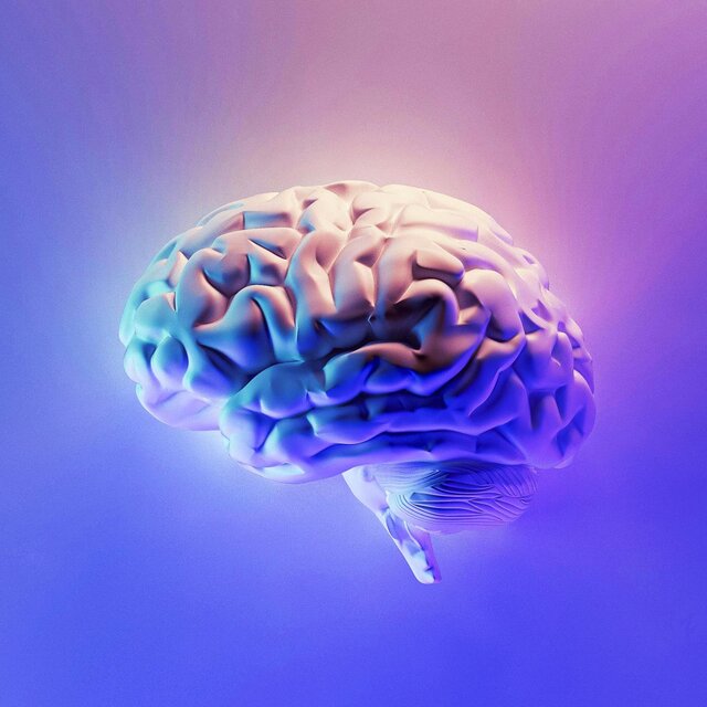 BRAINCATION