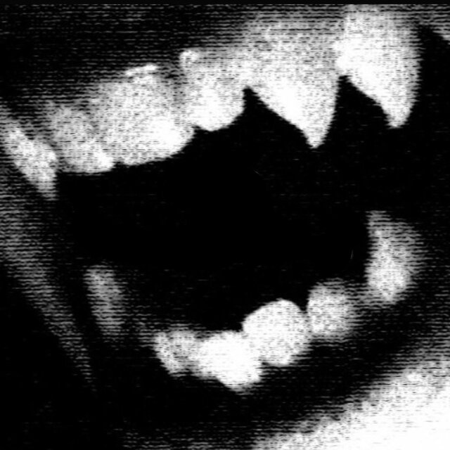 Vamp Hours