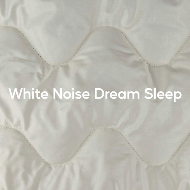 White Noise Dream Sleep