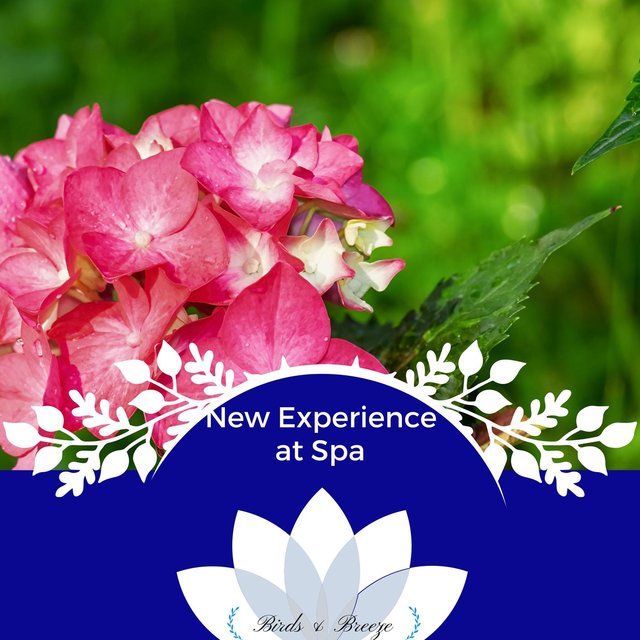 New Experience At Spa