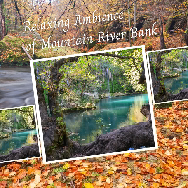 Relaxing Ambience of Mountain River Bank - 1 Hour