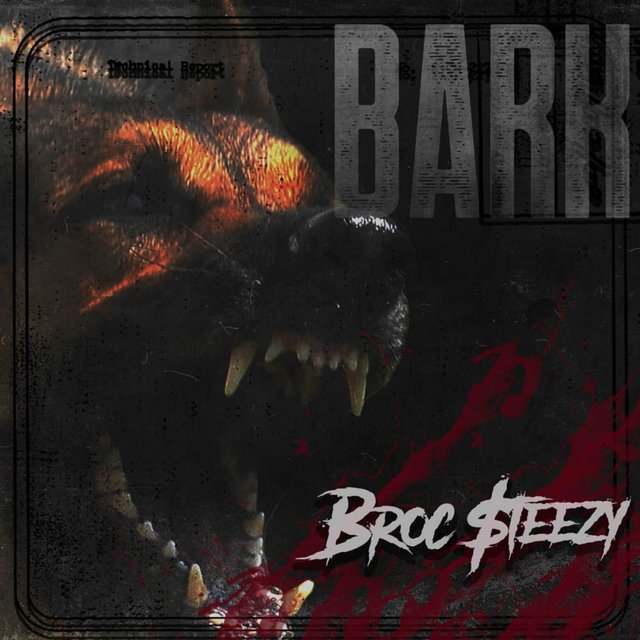 Bark