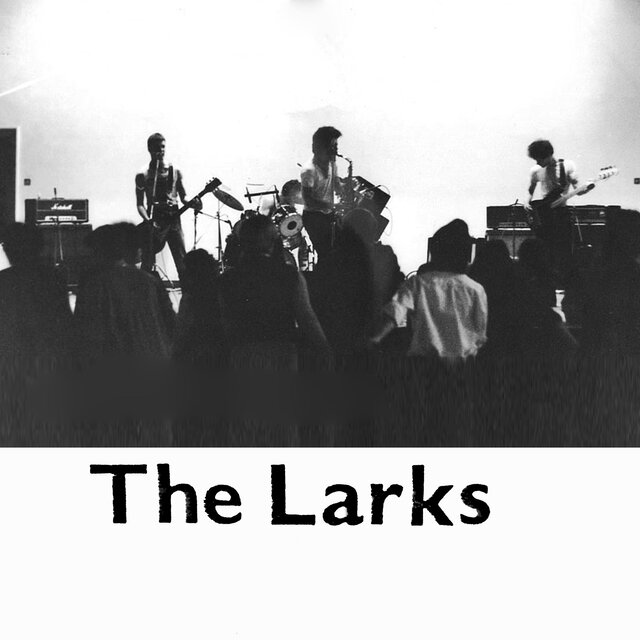 The Larks