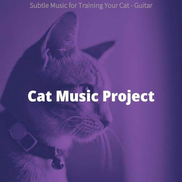 Subtle Music for Training Your Cat - Guitar