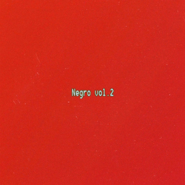 Negro, Vol. 2