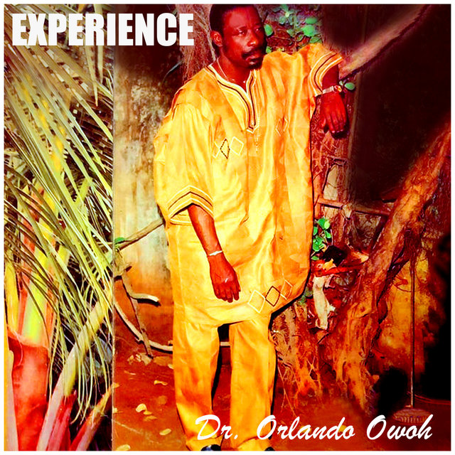 Experience