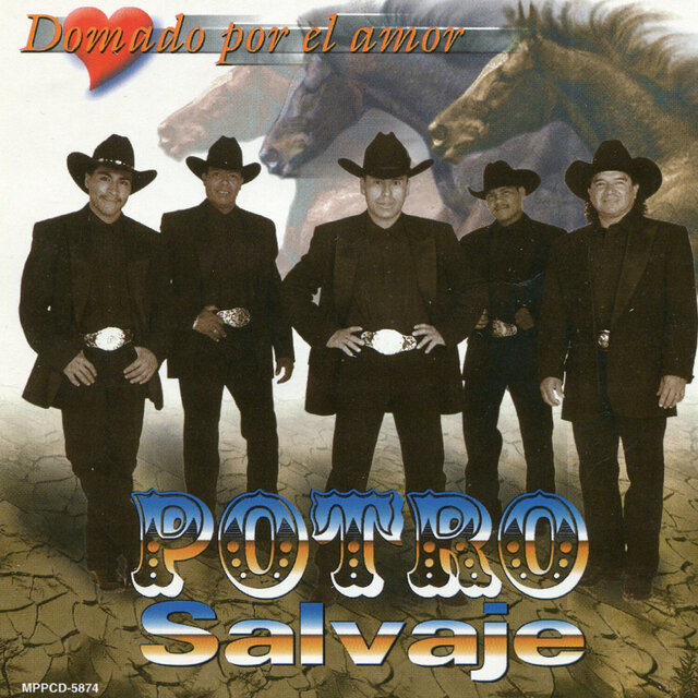 Domando Por El Amor