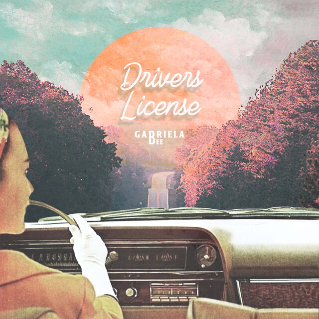 driver license
