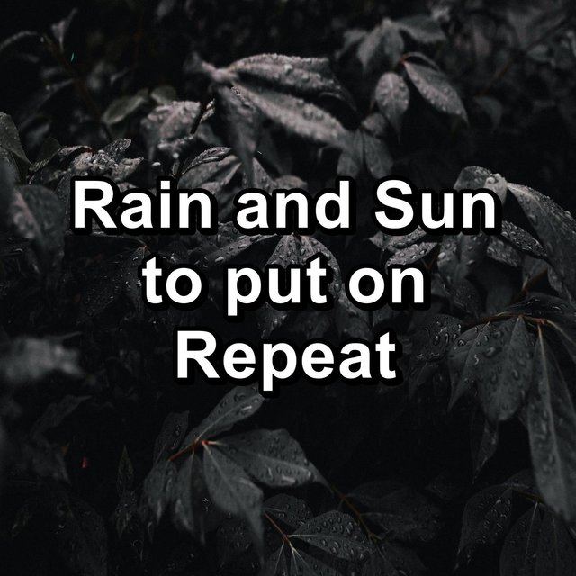 Rain and Sun to put on Repeat