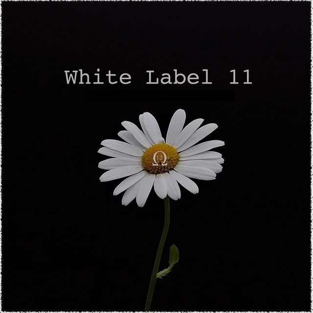 White Label 11