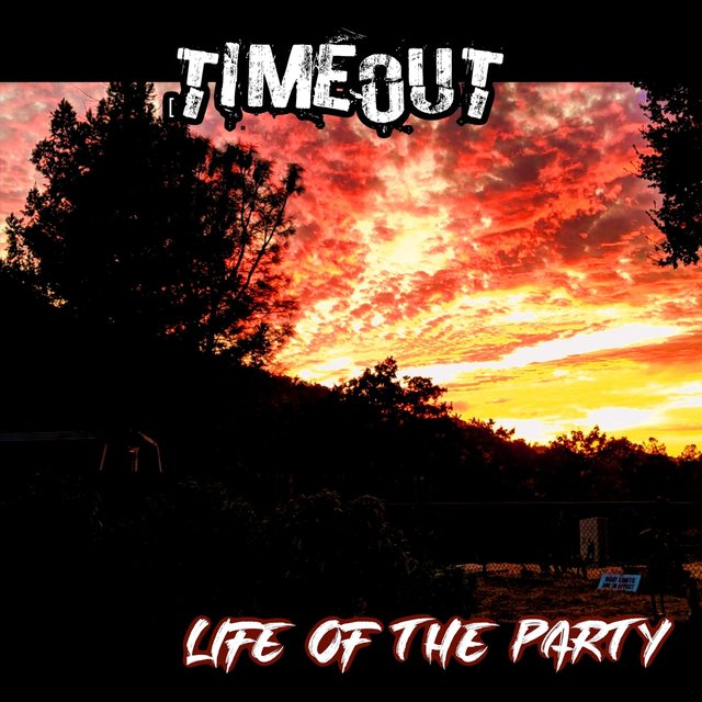 Life of the Party