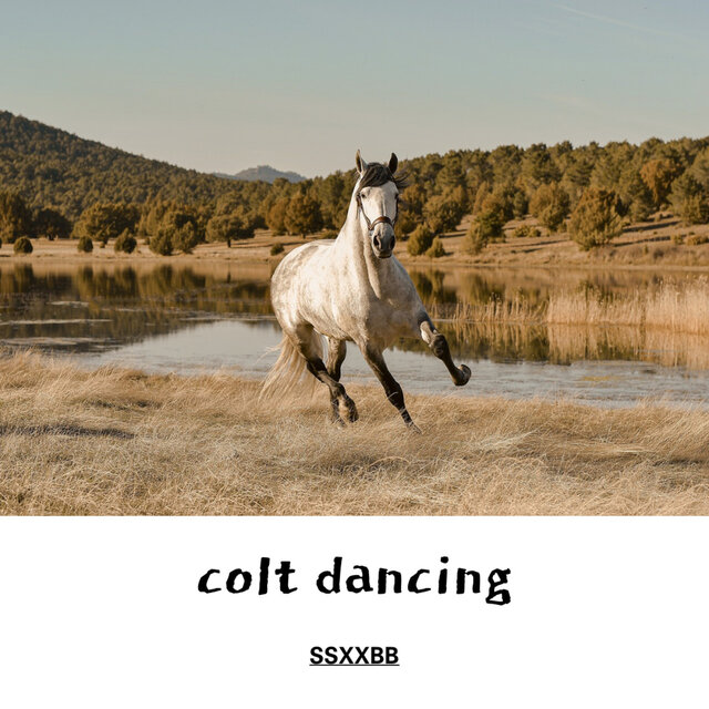 colt dancing