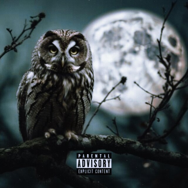 Night Owl, Vol. 1