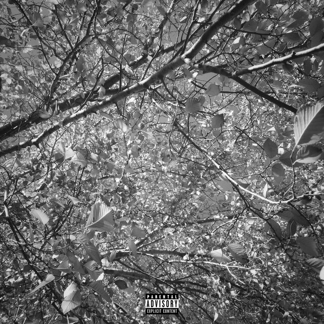 Roots (Remix Bundle)