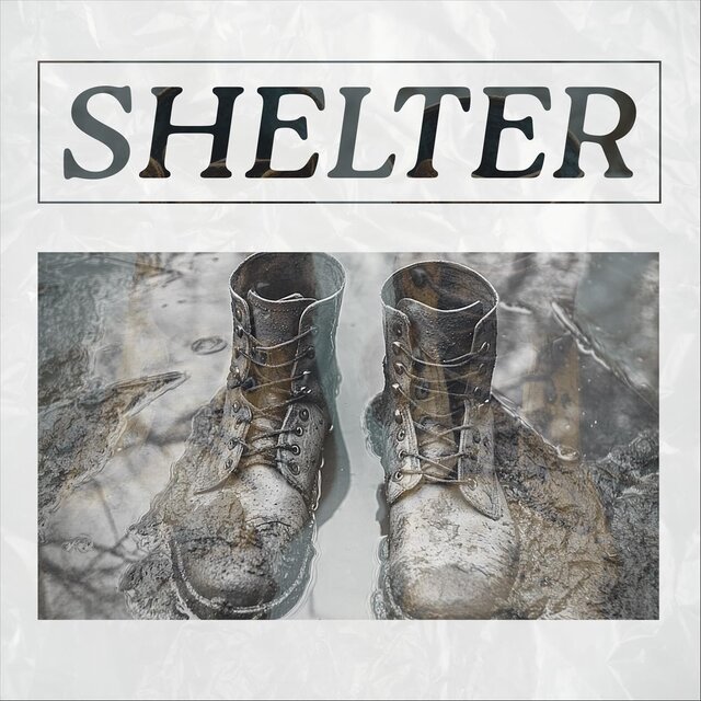 Shelter