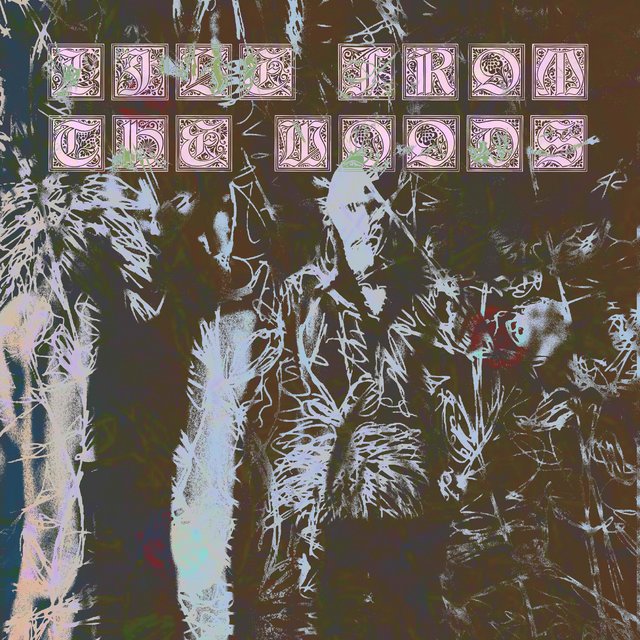 Live From The Woods