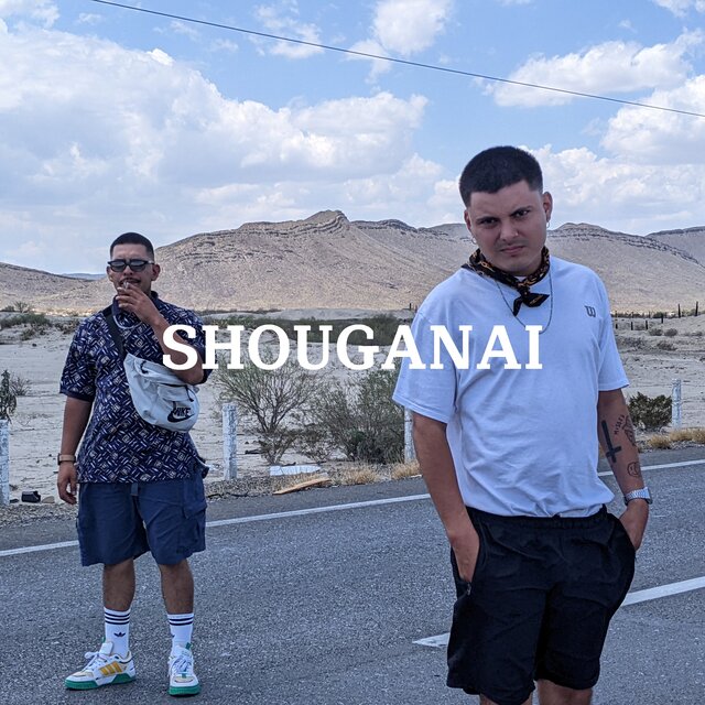 Shouganai