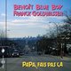 Cover art for album Papa, fais pas ça by Benoît Blue Boy, Franck Goldwasser