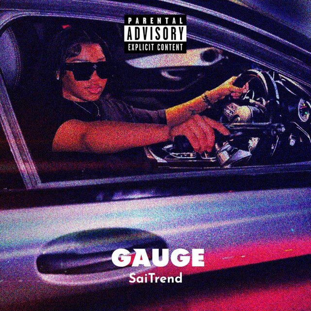 Gauge