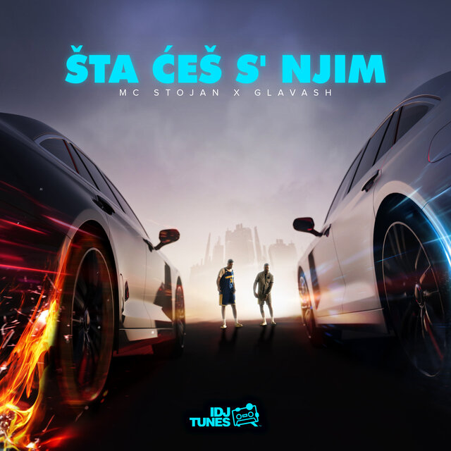 Šta Ćes S Njim