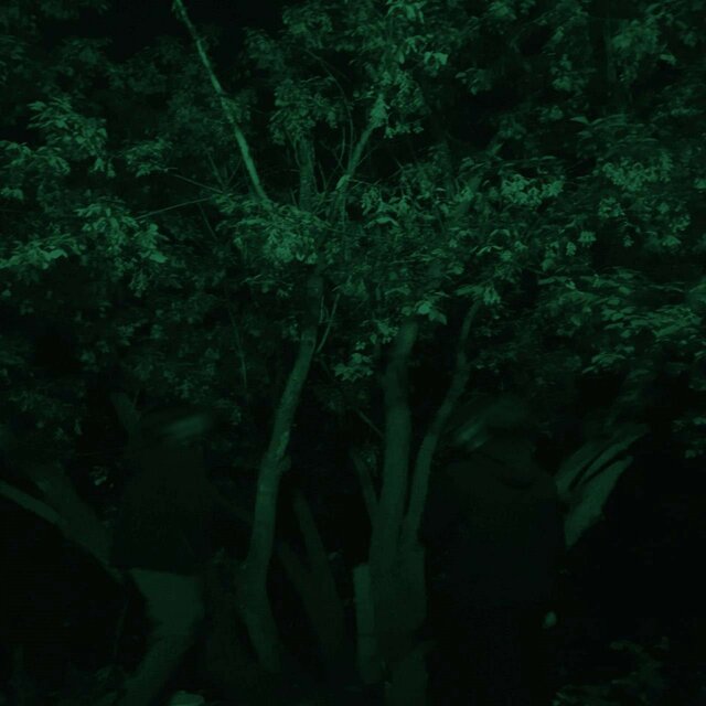79/31