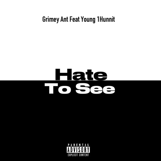 Hate To See (feat. Young 1Hunnit)