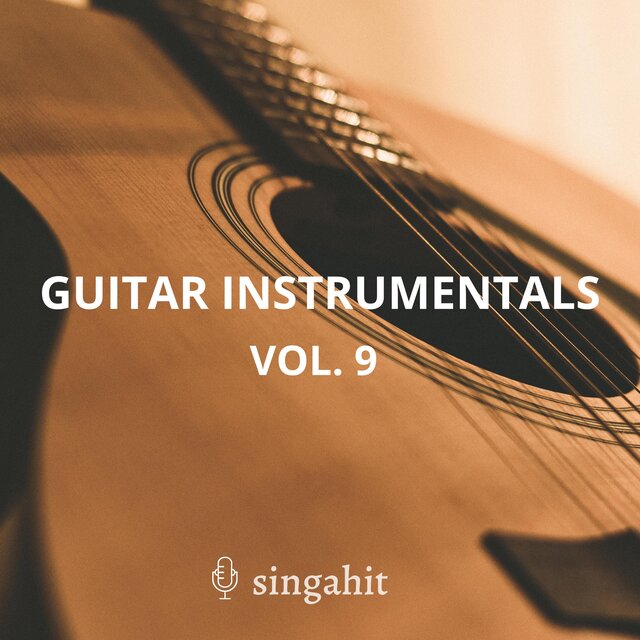 Guitar Acoustic Instrumentals, Vol. 9