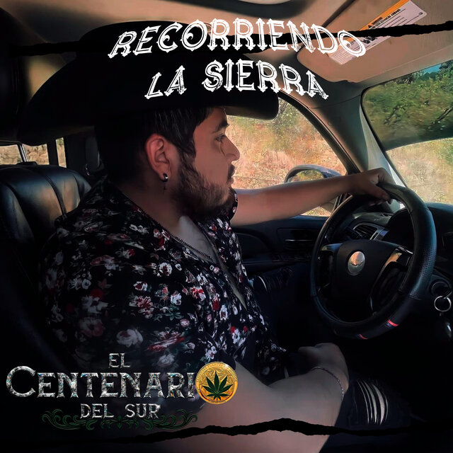Recorriendo la sierra
