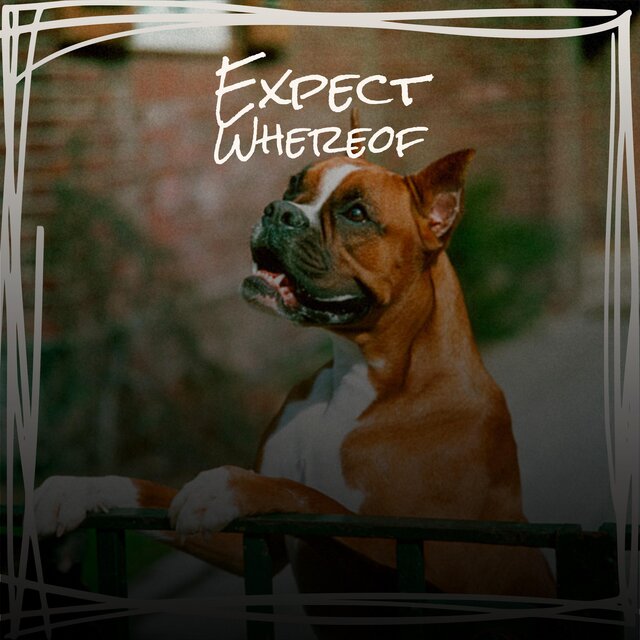 Expect Whereof