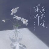 或许我不该