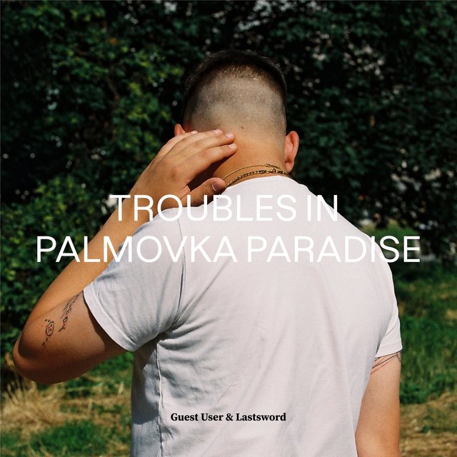 Troubles in Palmovka Paradise