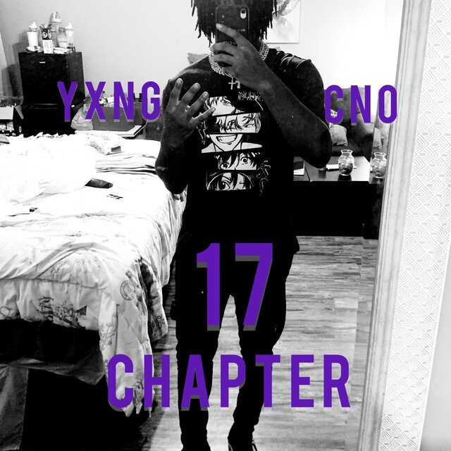 17 CHAPTER