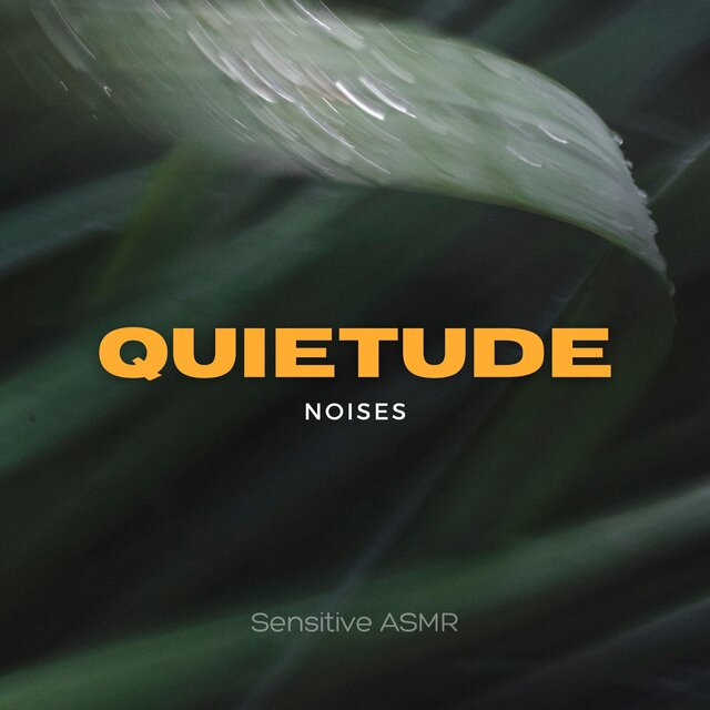 Quietude
