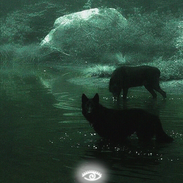 There Is a Void
